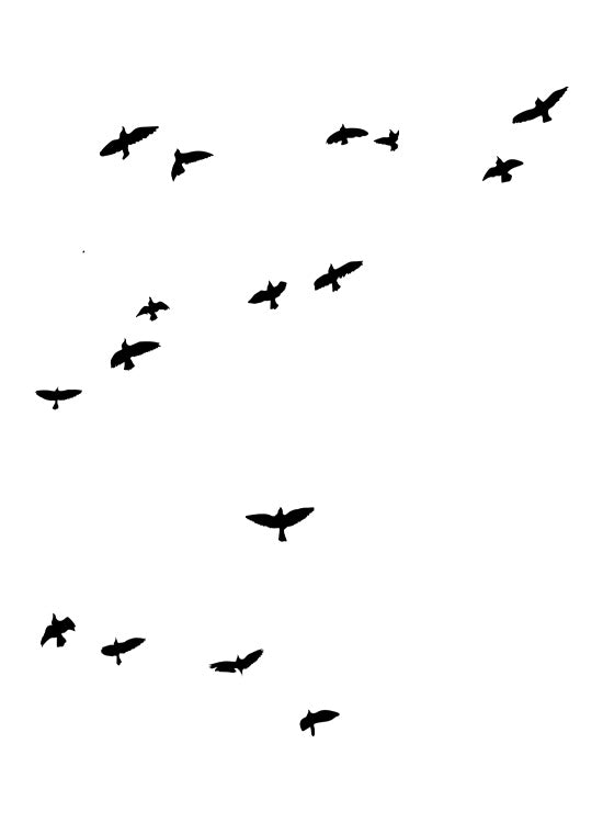 Flock of flying pigeons Poster