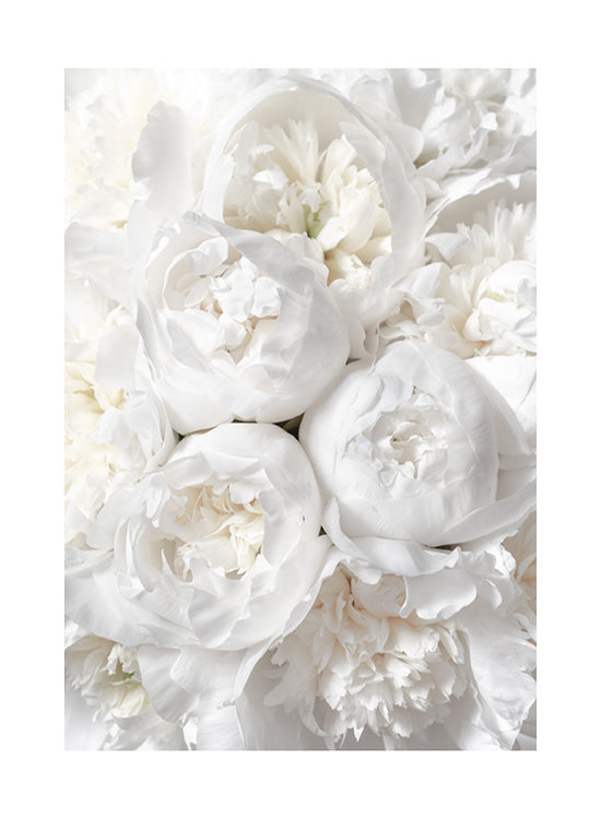 White Flowers Poster No1